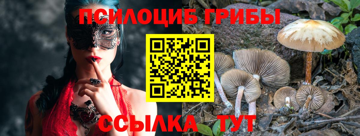 Галлюциногенные грибы Psilocybe  сколько стоит  Ялта  Вход с VPN  Галлюциногенные грибы мухоморы 